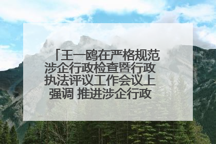 王一鸥在严格规范涉企行政检查暨行政执法评议工作会议上强调 推进涉企行政检查质效大幅提升