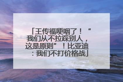 王传福哽咽了！“我们从不拉踩别人，这是原则”！比亚迪：我们不打价格战