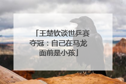 王楚钦谈世乒赛夺冠：自己在马龙面前是小孩
