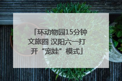 环动物园15分钟文旅圈 汉阳六一打开“宠娃”模式