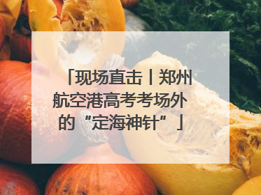 现场直击丨郑州航空港高考考场外的“定海神针”
