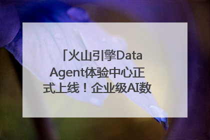 火山引擎Data Agent体验中心正式上线！企业级AI数据专家触手可及