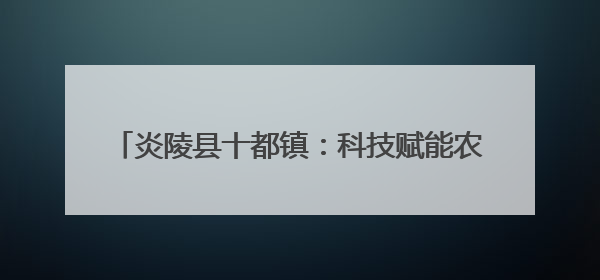 炎陵县十都镇：科技赋能农耕 绘就美丽乡村新画卷