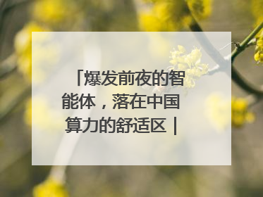爆发前夜的智能体，落在中国算力的舒适区｜海斌访谈