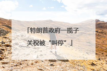 特朗普政府一揽子关税被“叫停”