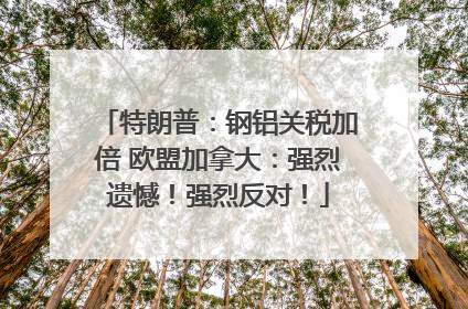 特朗普：钢铝关税加倍 欧盟加拿大：强烈遗憾！强烈反对！