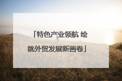 特色产业领航 绘就外贸发展新画卷
