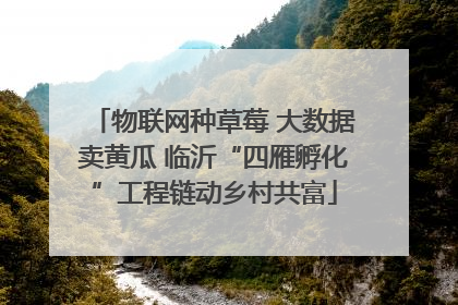 物联网种草莓 大数据卖黄瓜 临沂“四雁孵化”工程链动乡村共富