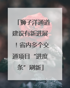 狮子洋通道建设有新进展！省内多个交通项目“进度条”刷新