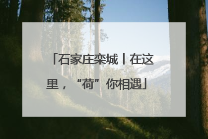 石家庄栾城丨在这里，“荷”你相遇