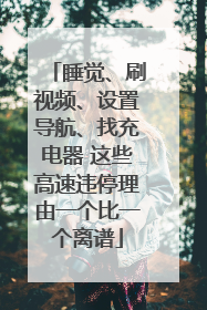 睡觉、刷视频、设置导航、找充电器 这些高速违停理由一个比一个离谱