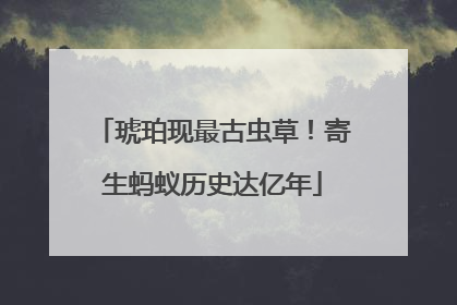 琥珀现最古虫草！寄生蚂蚁历史达亿年