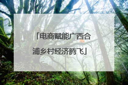 电商赋能广西合浦乡村经济腾飞