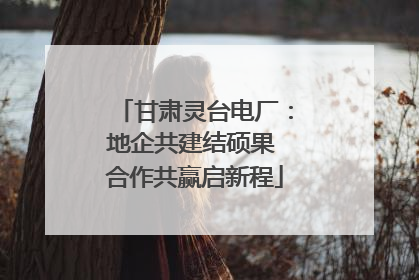 甘肃灵台电厂：地企共建结硕果 合作共赢启新程