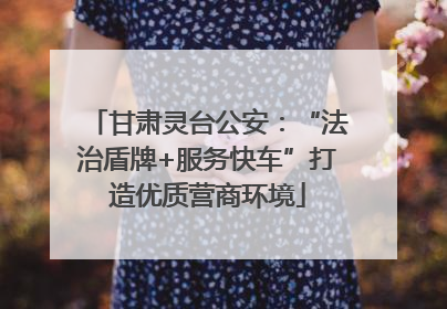 甘肃灵台公安：“法治盾牌+服务快车”打造优质营商环境