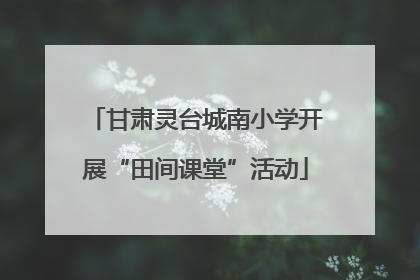 甘肃灵台城南小学开展“田间课堂”活动