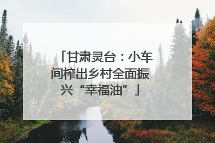 甘肃灵台：小车间榨出乡村全面振兴“幸福油”