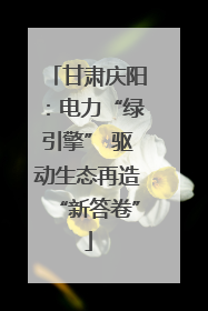 甘肃庆阳：电力“绿引擎” 驱动生态再造“新答卷”