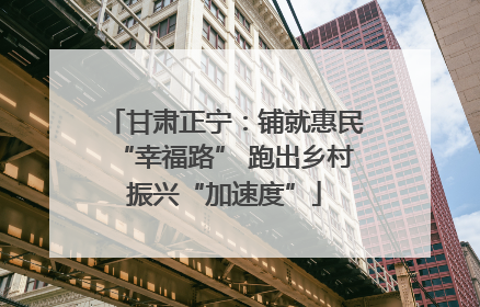 甘肃正宁：铺就惠民“幸福路” 跑出乡村振兴“加速度”