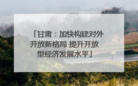 甘肃：加快构建对外开放新格局 提升开放型经济发展水平
