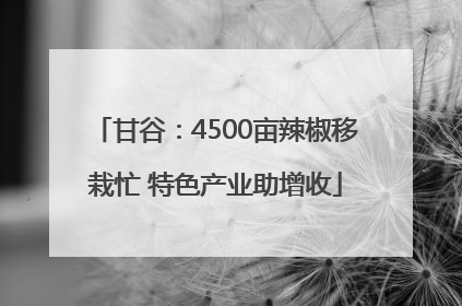 甘谷：4500亩辣椒移栽忙 特色产业助增收