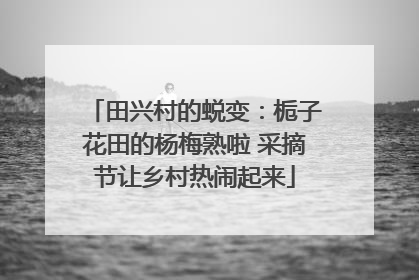 田兴村的蜕变：栀子花田的杨梅熟啦 采摘节让乡村热闹起来
