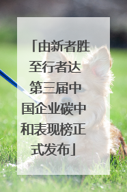 由新者胜 至行者达 第三届中国企业碳中和表现榜正式发布