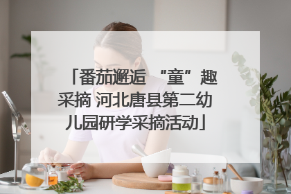 番茄邂逅 “童”趣采摘 河北唐县第二幼儿园研学采摘活动