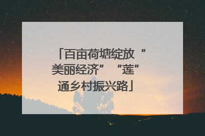 百亩荷塘绽放“美丽经济”“莲”通乡村振兴路