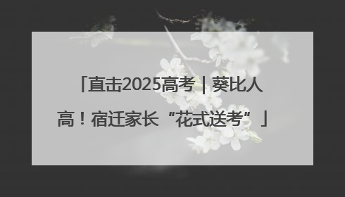 直击2025高考｜葵比人高！宿迁家长“花式送考”