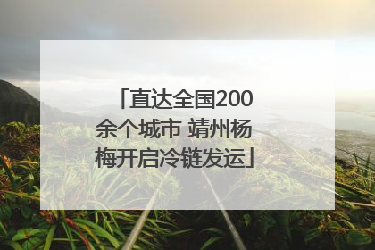 直达全国200余个城市 靖州杨梅开启冷链发运