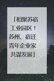 相聚苏宿工业园区！苏州、宿迁青年企业家共谋发展