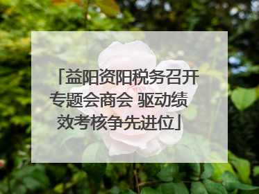 益阳资阳税务召开专题会商会 驱动绩效考核争先进位