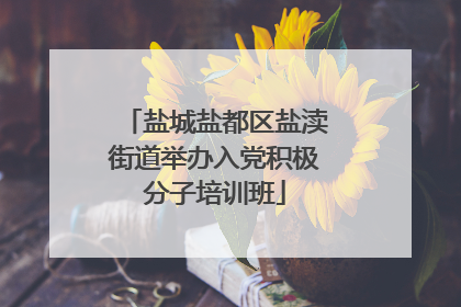 盐城盐都区盐渎街道举办入党积极分子培训班