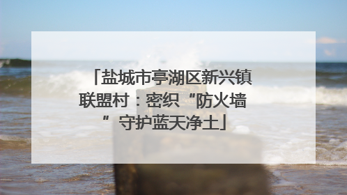 盐城市亭湖区新兴镇联盟村：密织“防火墙”守护蓝天净土