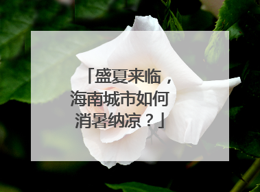 盛夏来临，海南城市如何消暑纳凉？