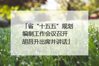 省“十五五”规划编制工作会议召开 胡昌升出席并讲话