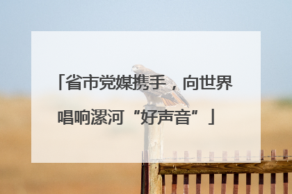 省市党媒携手，向世界唱响漯河“好声音”