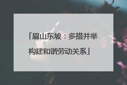 眉山东坡：多措并举构建和谐劳动关系