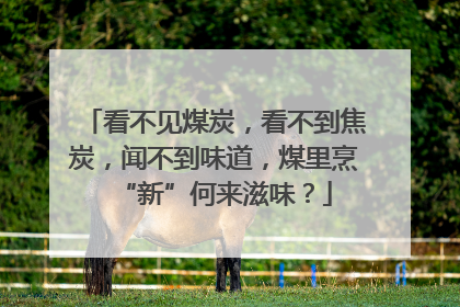 看不见煤炭，看不到焦炭，闻不到味道，煤里烹“新”何来滋味？