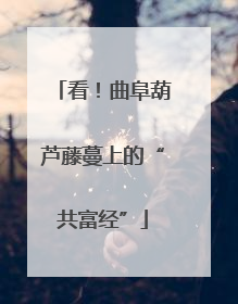 看！曲阜葫芦藤蔓上的“共富经”