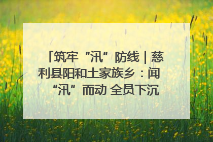 筑牢“汛”防线｜慈利县阳和土家族乡：闻“汛”而动 全员下沉筑牢防汛“安全堤”