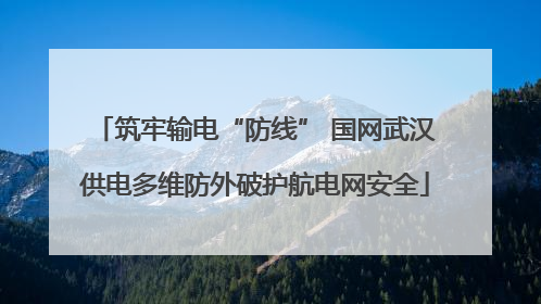 筑牢输电“防线” 国网武汉供电多维防外破护航电网安全