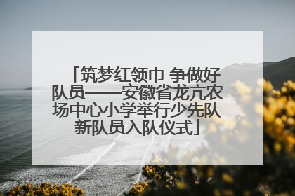 筑梦红领巾 争做好队员——安徽省龙亢农场中心小学举行少先队新队员入队仪式