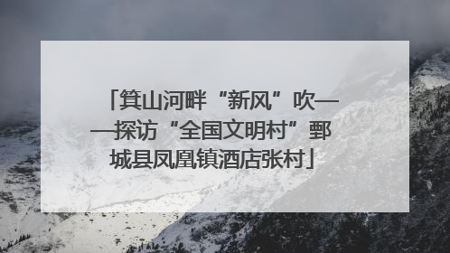 箕山河畔“新风”吹——探访“全国文明村”鄄城县凤凰镇酒店张村