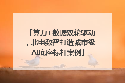 算力+数据双轮驱动，北电数智打造城市级AI底座标杆案例
