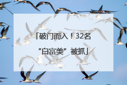 破门而入！32名“白富美”被抓