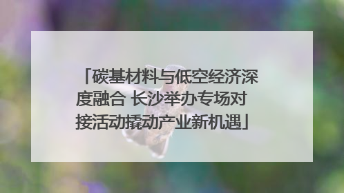 碳基材料与低空经济深度融合 长沙举办专场对接活动撬动产业新机遇