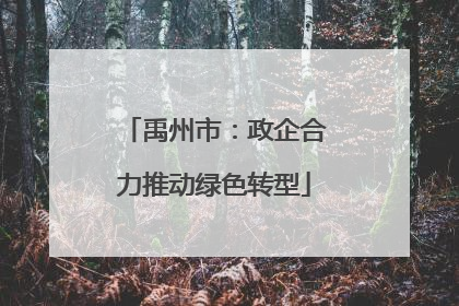 禹州市：政企合力推动绿色转型