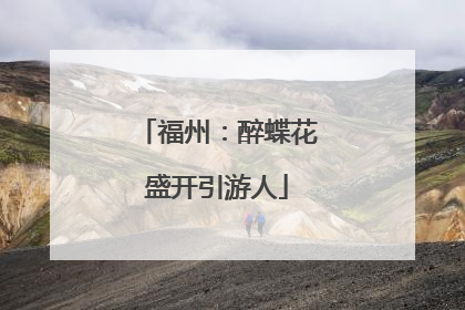福州：醉蝶花盛开引游人